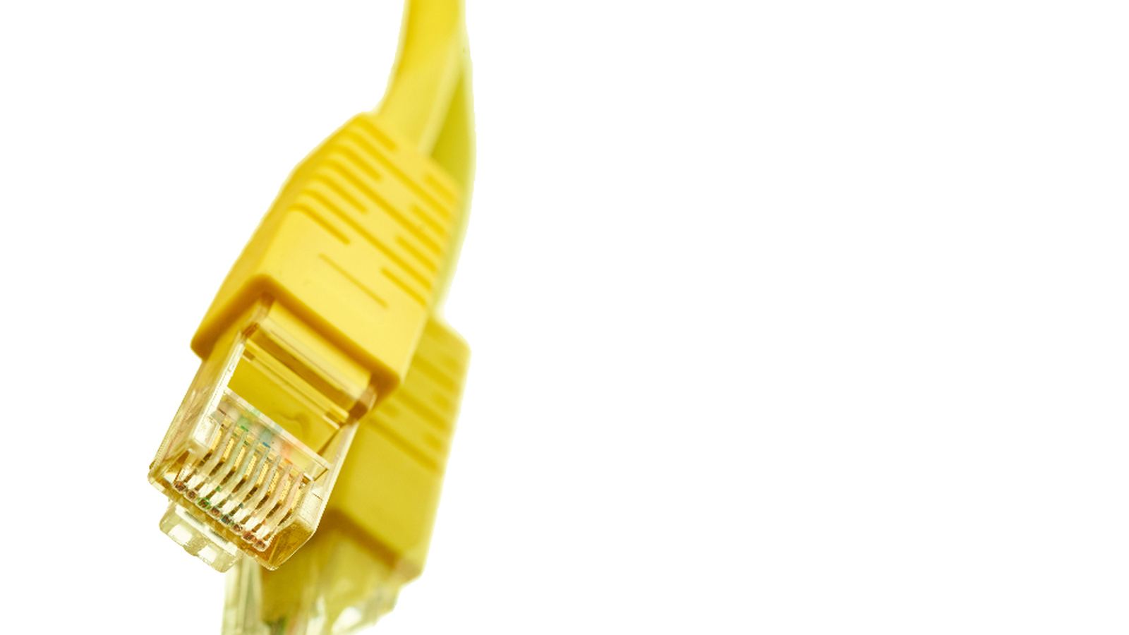 A yellow network cable on a plain background